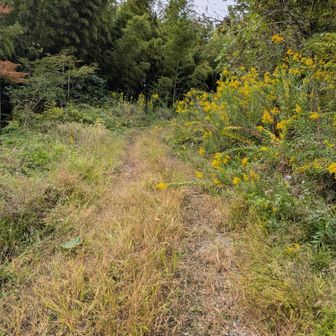 摩頂山へ