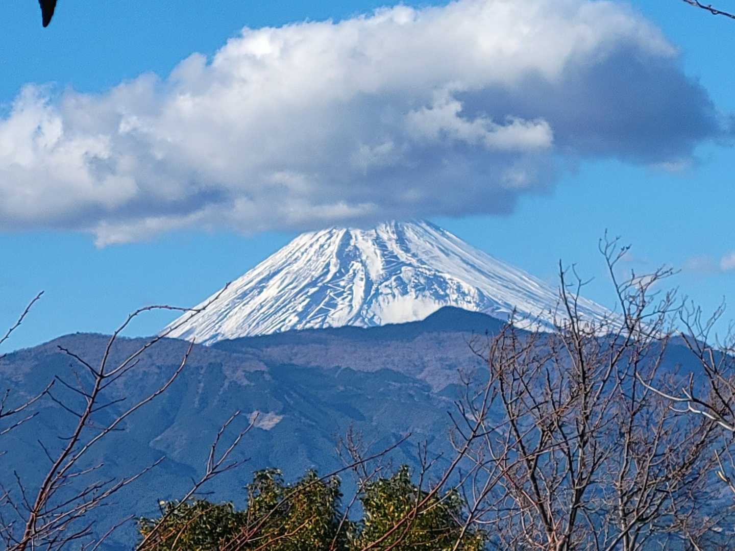 本日の富士山🗻