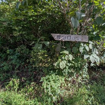 登山口まで1.2km