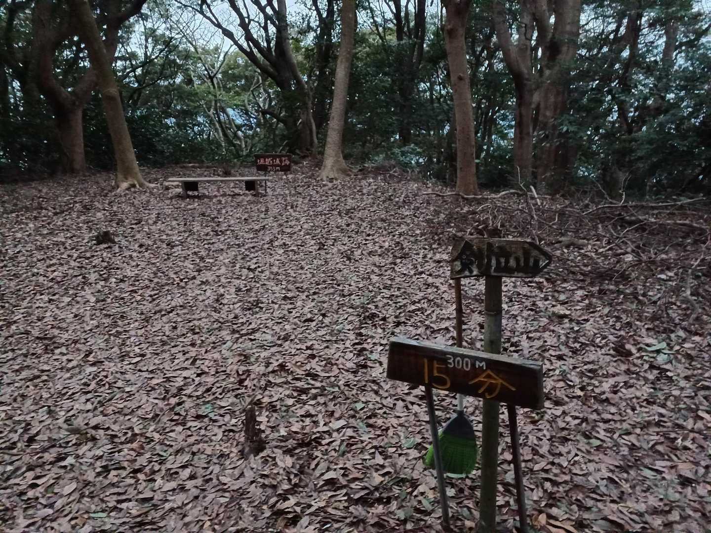城山頂上