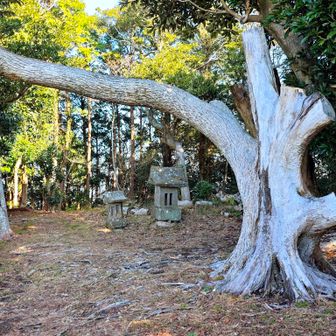 御殿山の山頂を過ぎ…