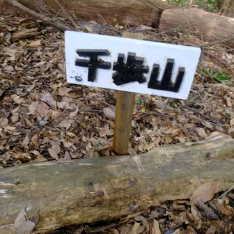 千歩山手前に・・・