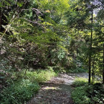危険だから入られんみたいな感じになってました。三辻山とかはあきらめて進む。
無念すぎて滅❗️
