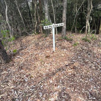 案内表示所所に有ります😊