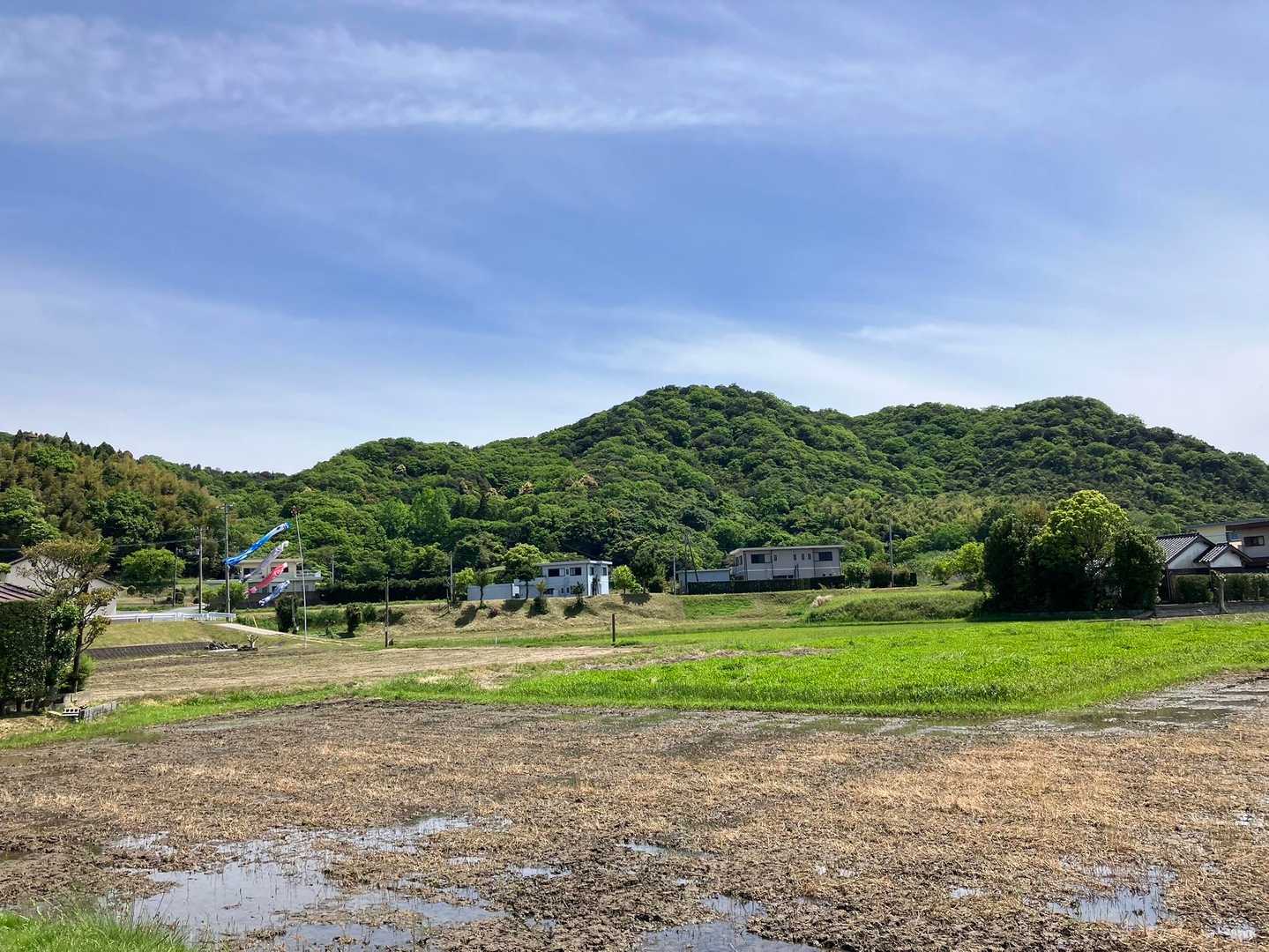 🎏と小浜山⛰️
気持ちのいい緑のなかをのんびり歩きました😊