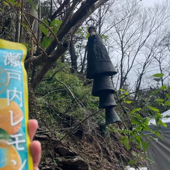 下山時に堀山の家で何か炭酸をと思っていたら美味しい氷が！めっちゃ美味しかった！！クーラーボックスがいくつもあったよ。重たいのにありがたいです。生き返りました😋