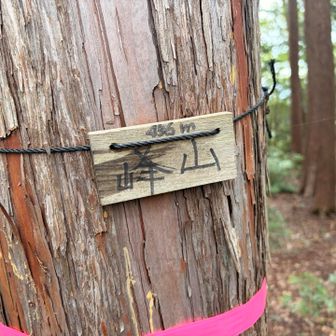 峯山
こちらも四寸道からすこし外れ、踏み跡がなく少し道がわかりにくいところがあります。