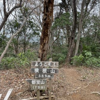 コーヒータイムしました