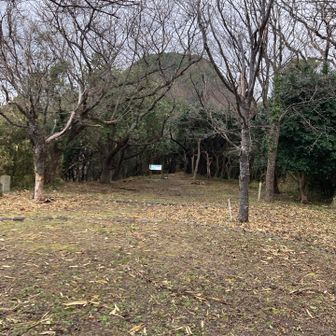 前方のポコっとした山が賀嶋山