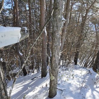天徳寺方面へ下山！

ノートレースで他の登山者さんには会いませんでした😅