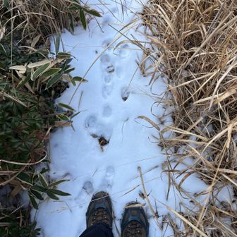 チェンスパつけたけどこっちは大丈夫そう