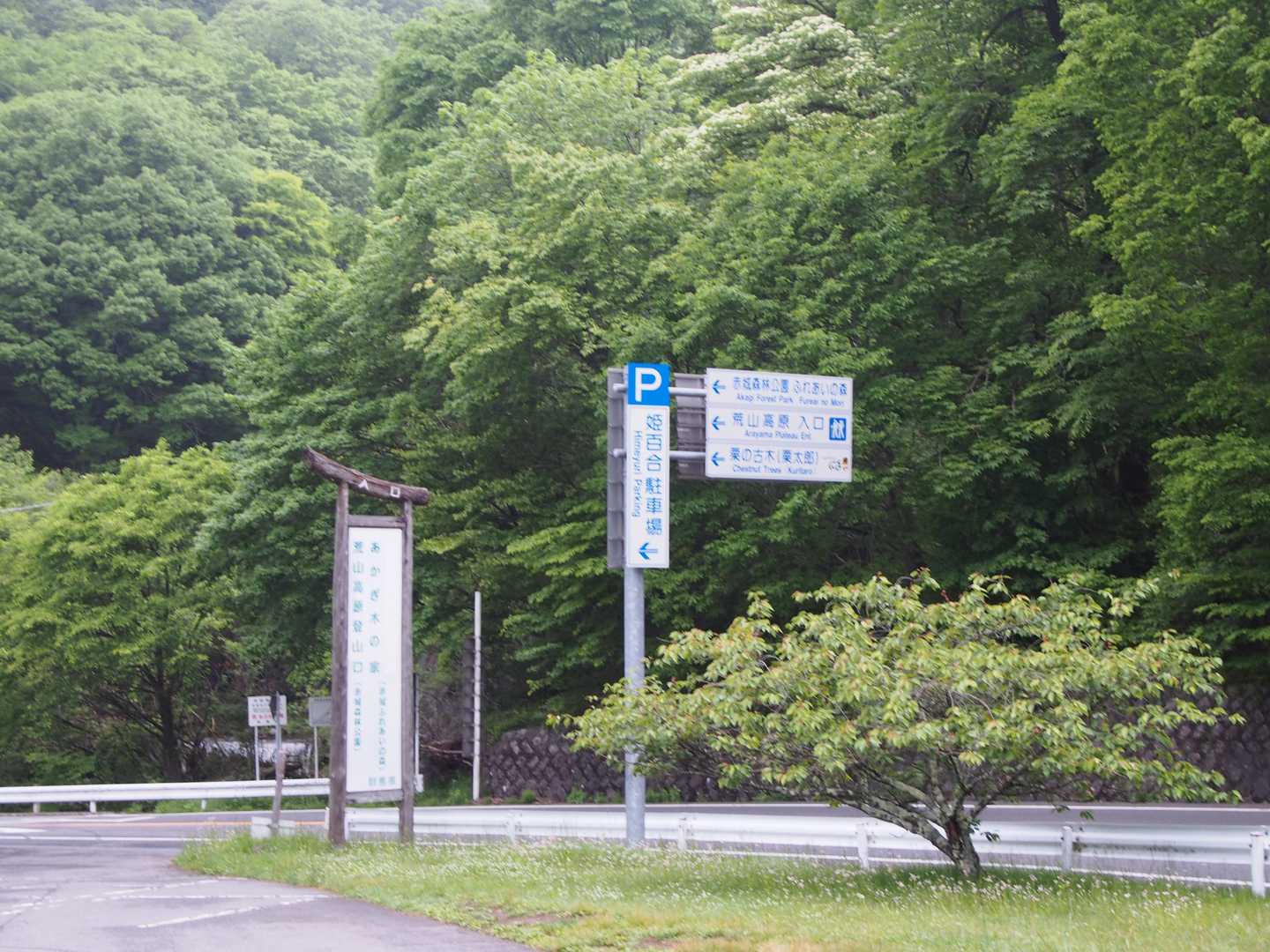 姫百合駐車場（トイレあり）からスタート