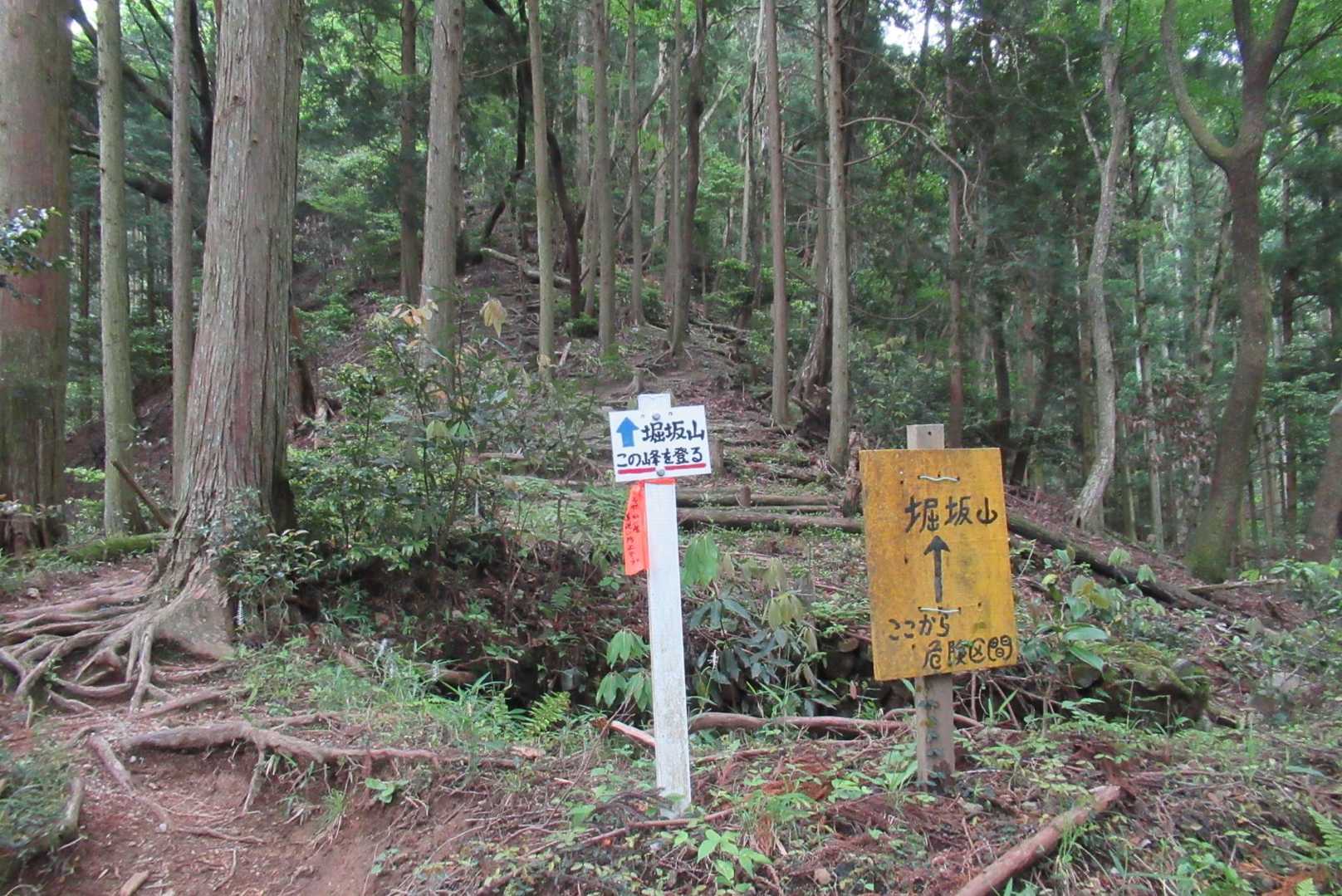 ここまでの舗装路歩きもしんどい!(^^)そしてここからが本当の急登です。