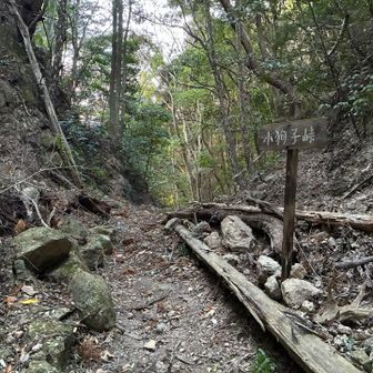 割とすぐに峠。