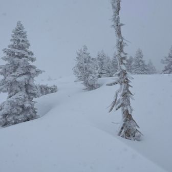 山頂エリア到着