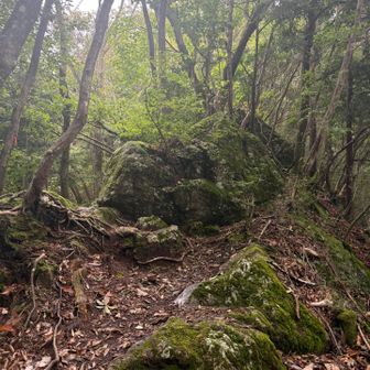 御前山に向かいます