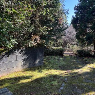 右へすすむと…