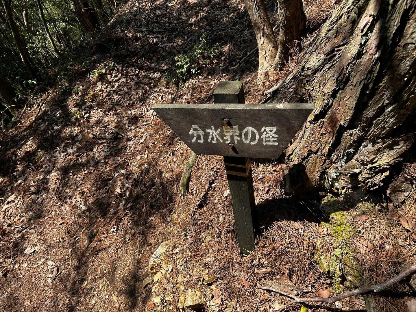 分水界の径だそうです