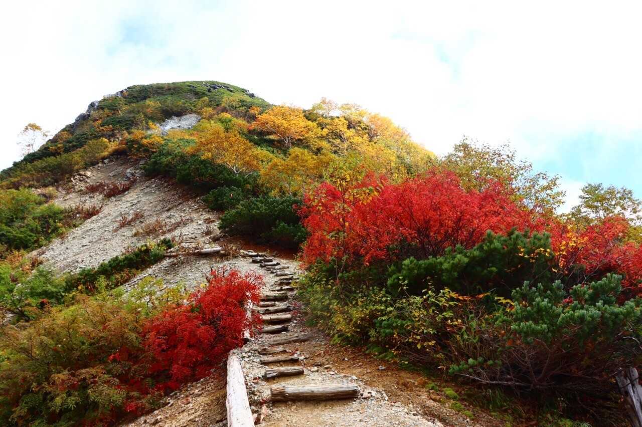 蓮華岳の写真