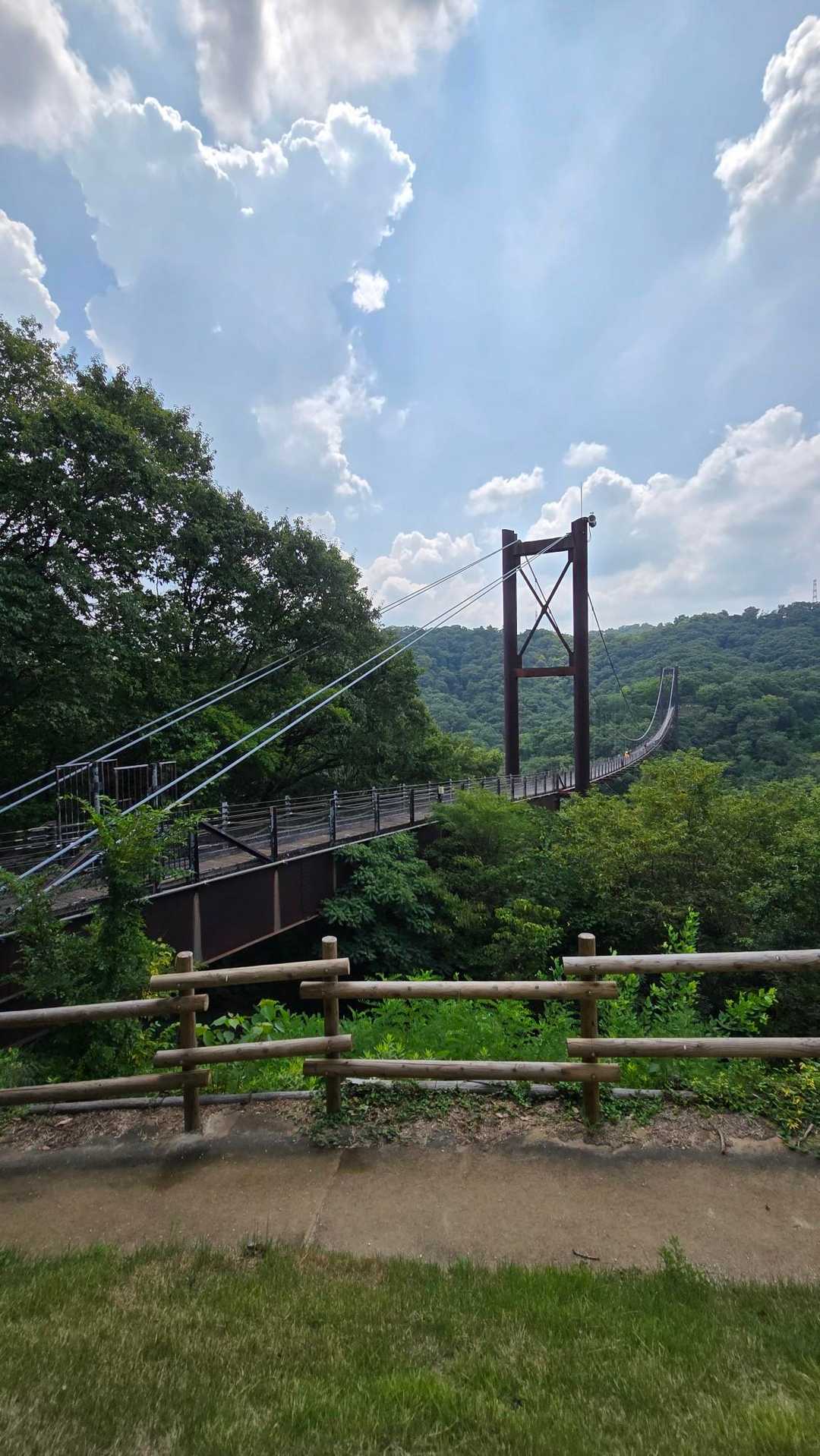日南山 往復コースの写真