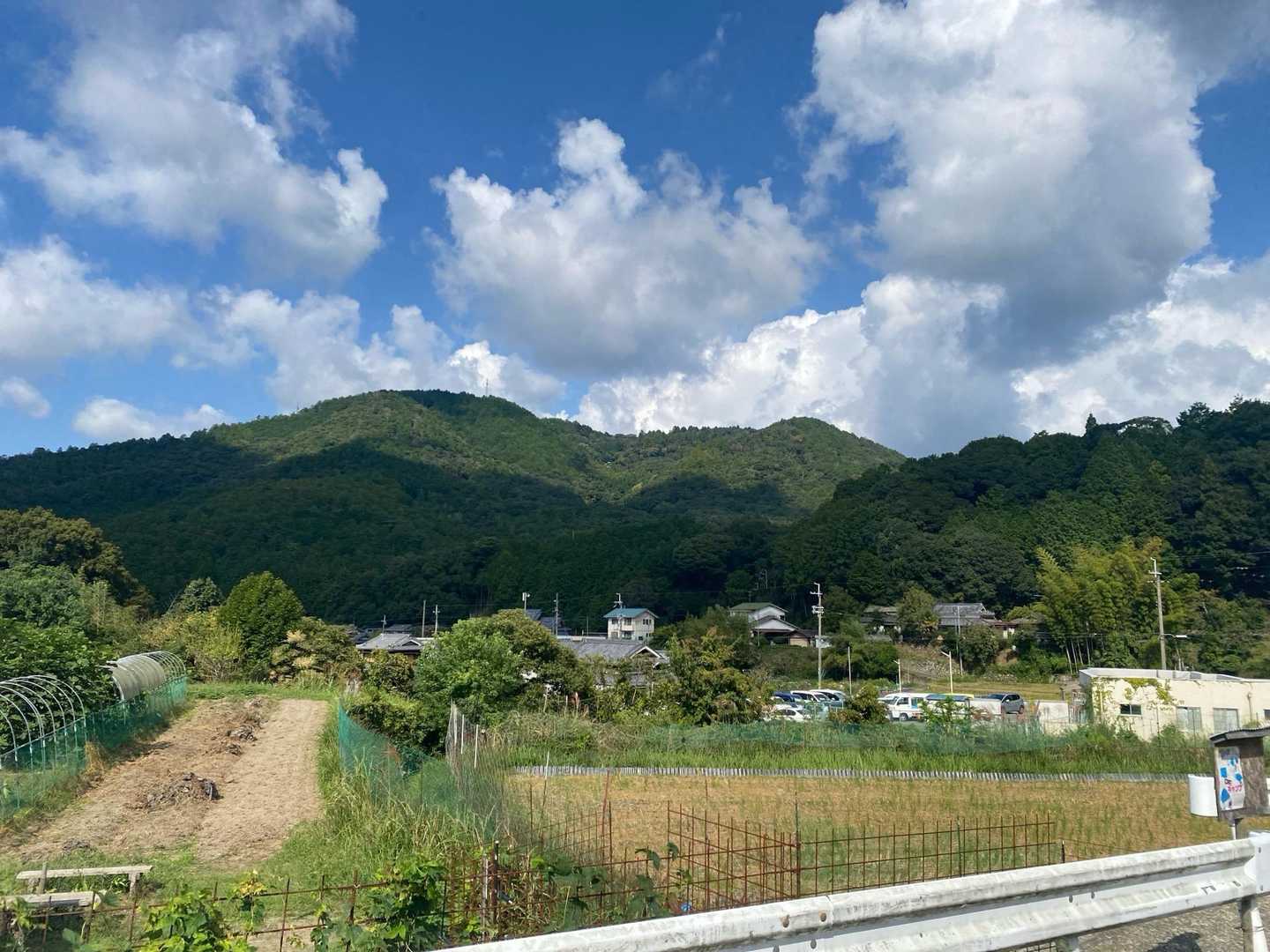 渓谷を渡って山頂カフェへ、能勢妙見山の周回の写真