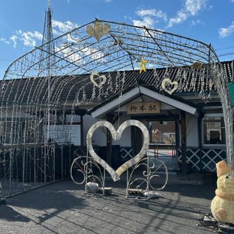 振り返ると😊こんな感じです