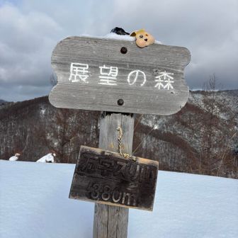 山頂到着380mだって