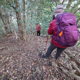 こちらから下ります
ロープがあるので急だけど大丈夫