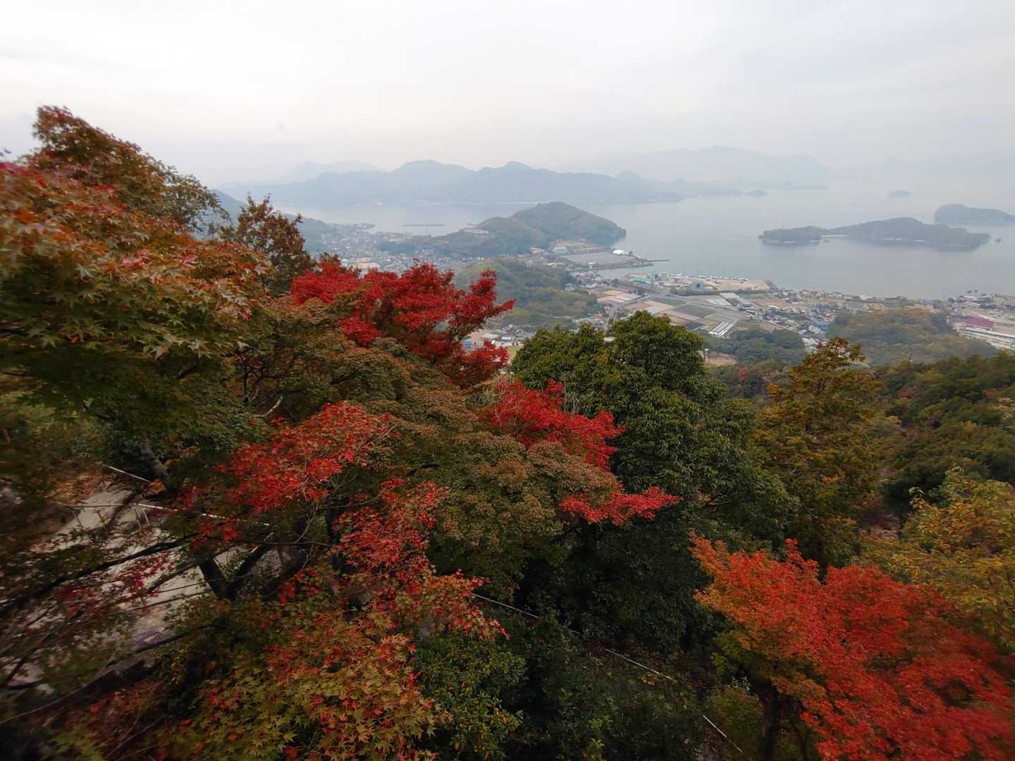 登山で海が見えるというのはいいですね😊　紅葉も綺麗です🍁