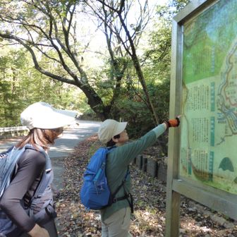 案内板あり、この案内板、あまりにも大雑把です？ｗ