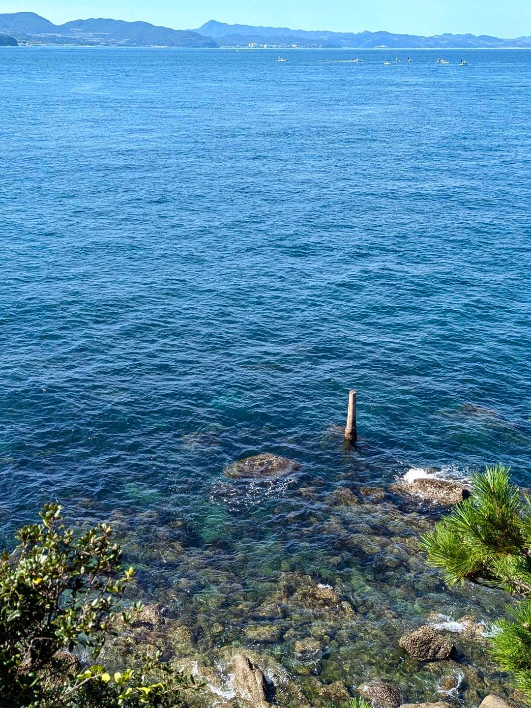 海も綺麗。