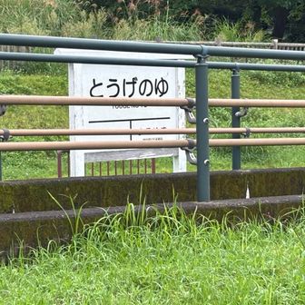 「とうげのゆ」までは廃線に並行に走る線路で観光列車が運行中らしい