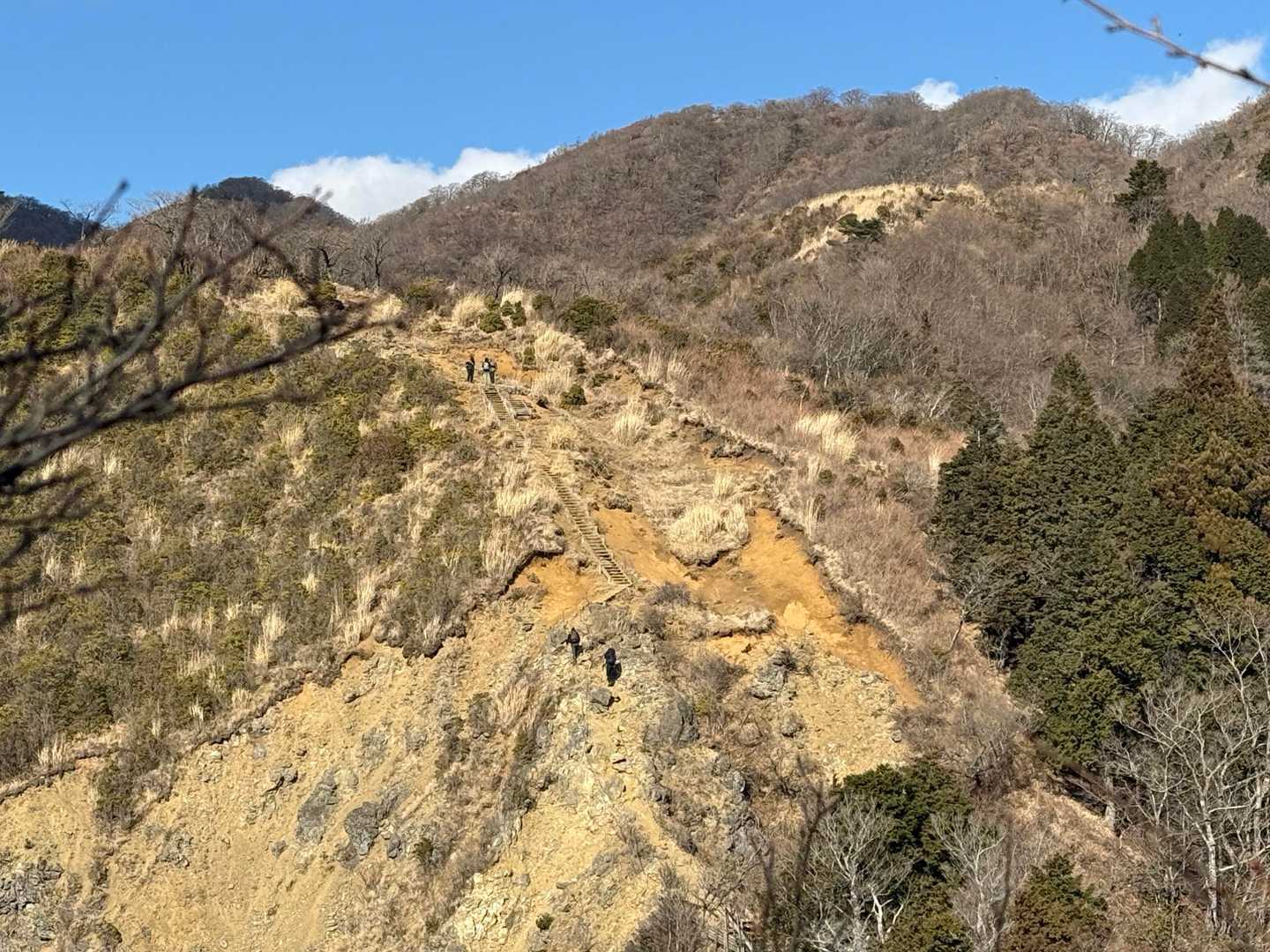 丹沢らしい感じが出てきました