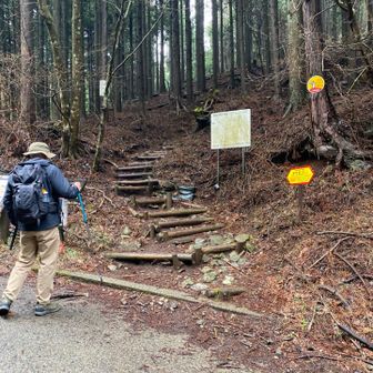 アスファルトを歩いてようやく表尾根入り口