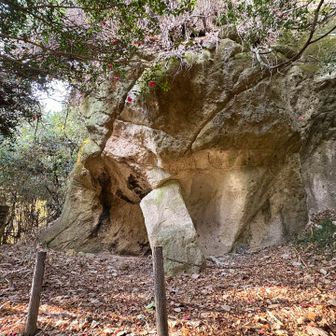 石切場。昔の人、石を切り取って運んでたって想像するだけですごい。
歴史的な史跡をいくつも見れて楽しいルートでした🙏