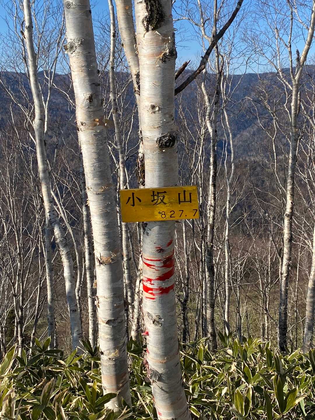 看板も設置されてます。
有難いですね。
