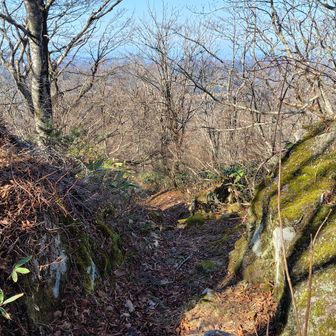 となれば急いで下山です。