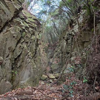 ここに来たかった、秘境感タップリの峡谷