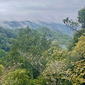 雨上がりで比叡山はガスが湧いています。