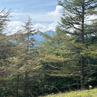 鷹ノ巣山