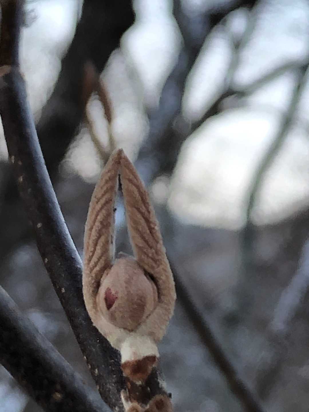 ウサギ🐰にハート♡マーク👀