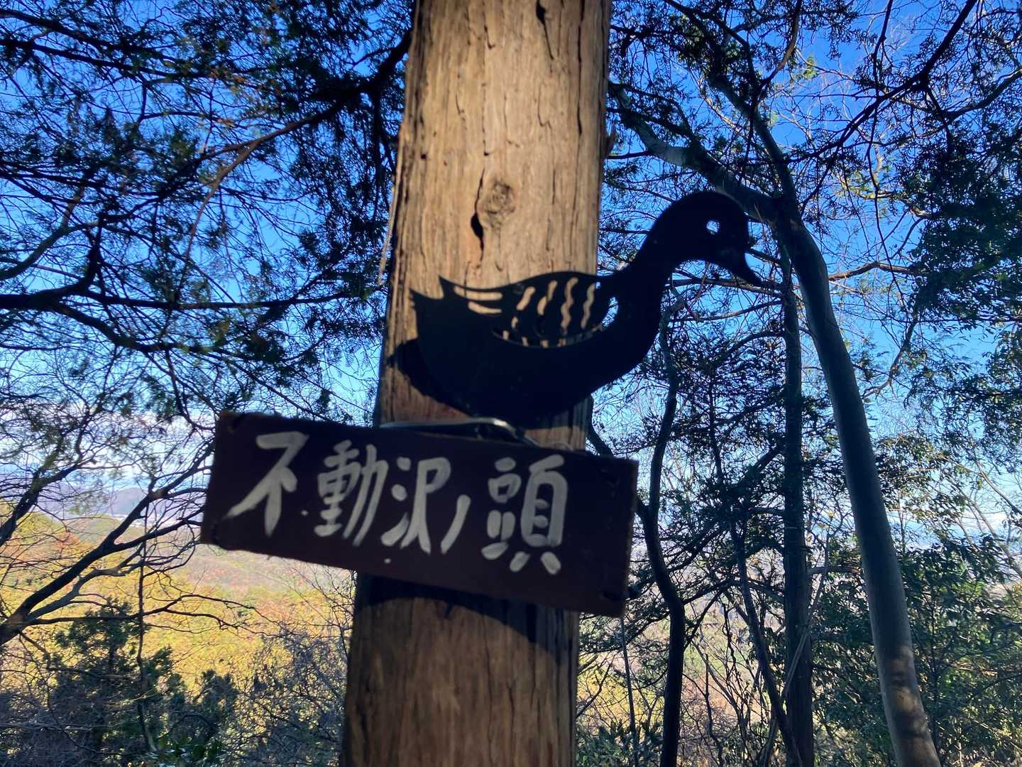 3山目 不動沢ノ頭  
鳥さんが可愛い♥️
