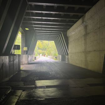誰もいなくて、帰りも結局歩き🚶‍♀️
おつかれさま