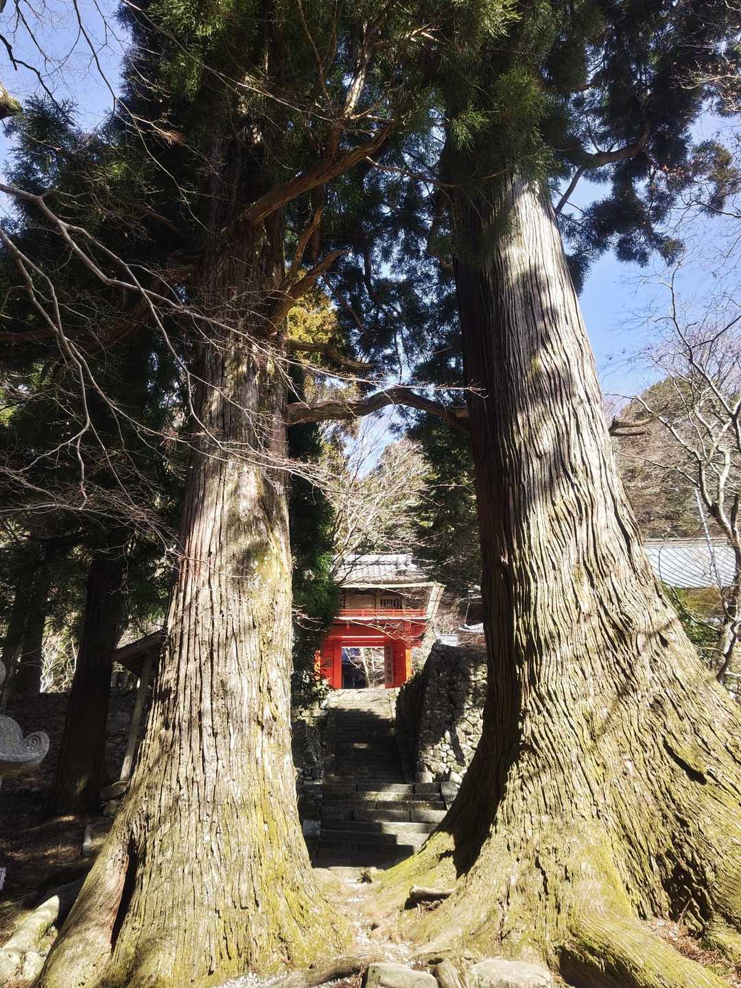 大洞山 往復コースの写真