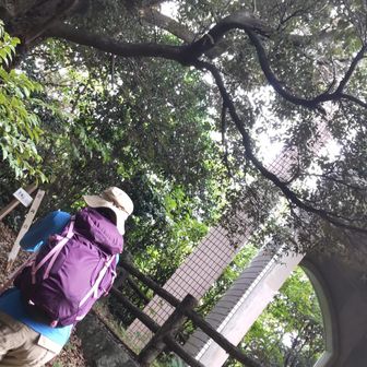 天神山