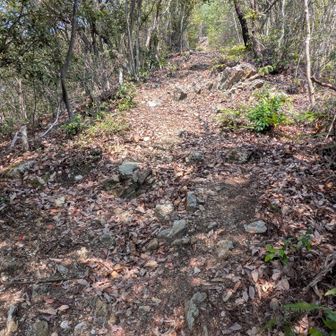 けっこうしんどい😨