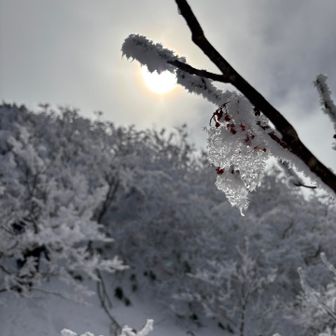 何もかも美しい！