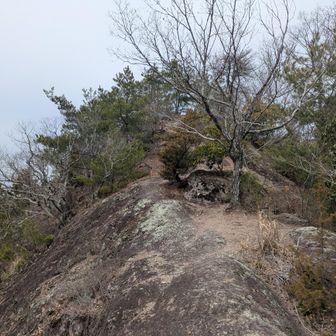 馬の背に足を伸ばします