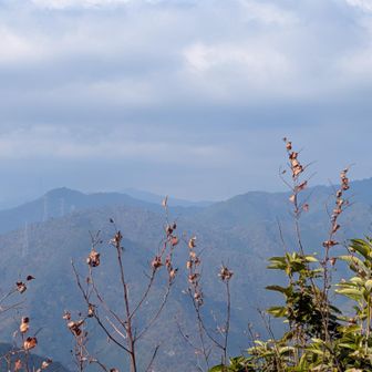 西　千ヶ峰方面
南の石戸山は灌木に隠れて、よく見えなかった。