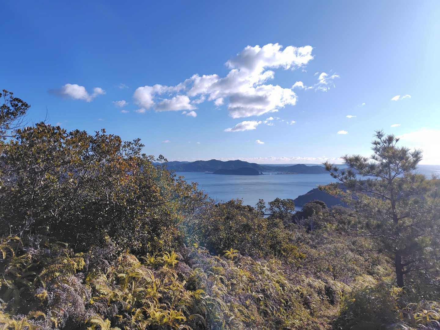 もう1枚📷‼️